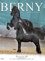 Indiana "" Black Stallion Friesian