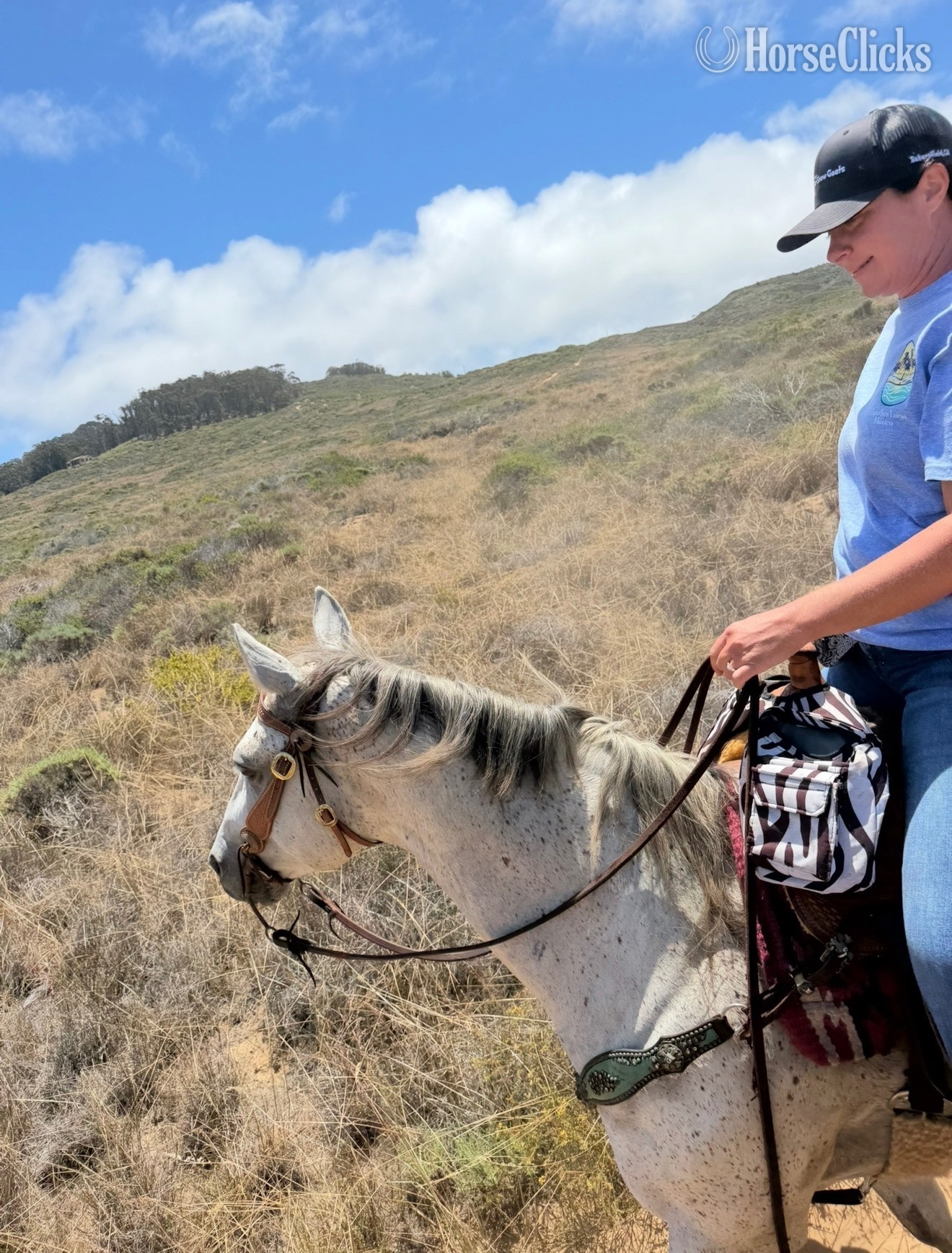 "Katniss" Grey Mare Quarter Horse - Quarter Horse