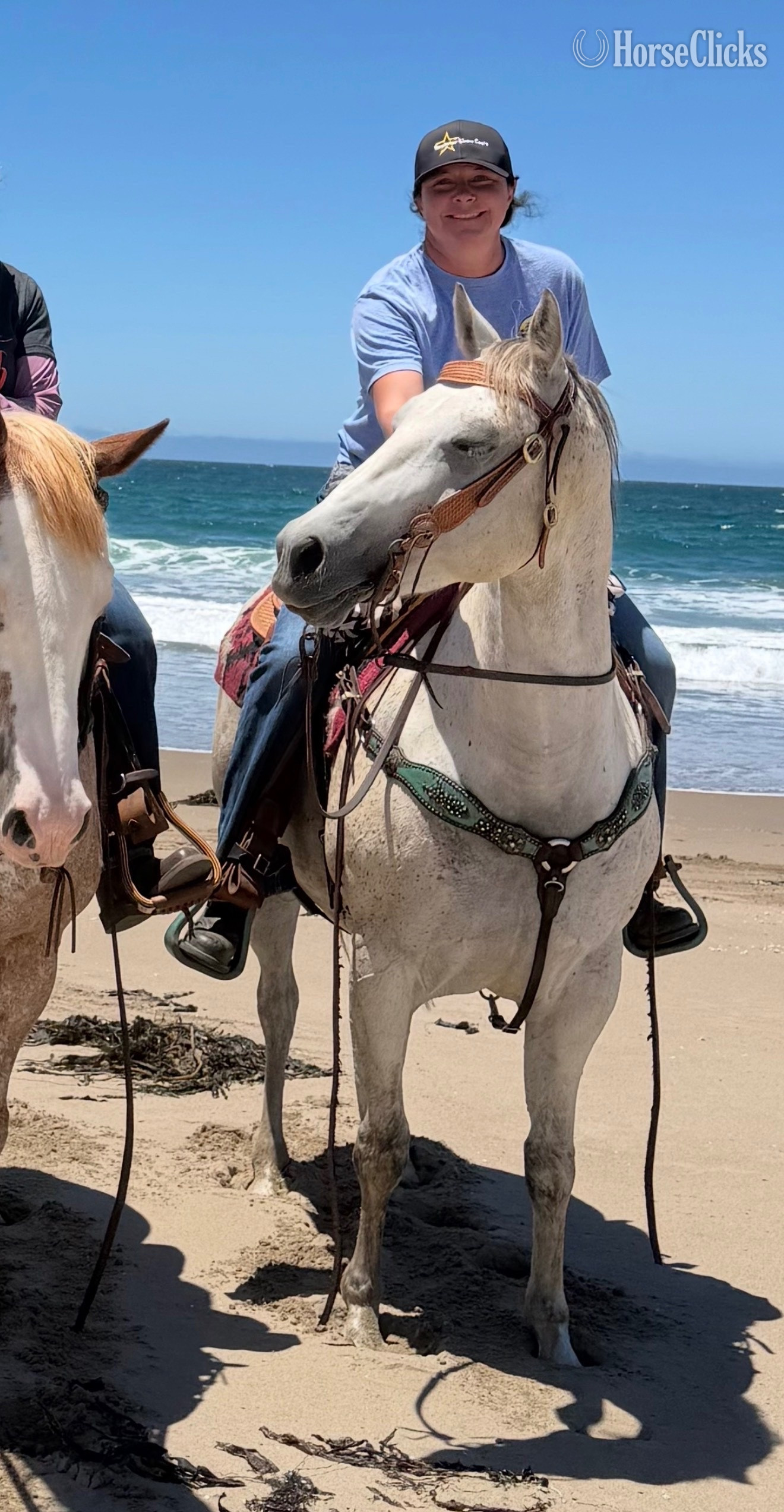 "Katniss" Grey Mare Quarter Horse California