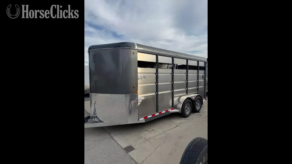 Maverick Trailers 2026 Steel 3   Horse Trailer
