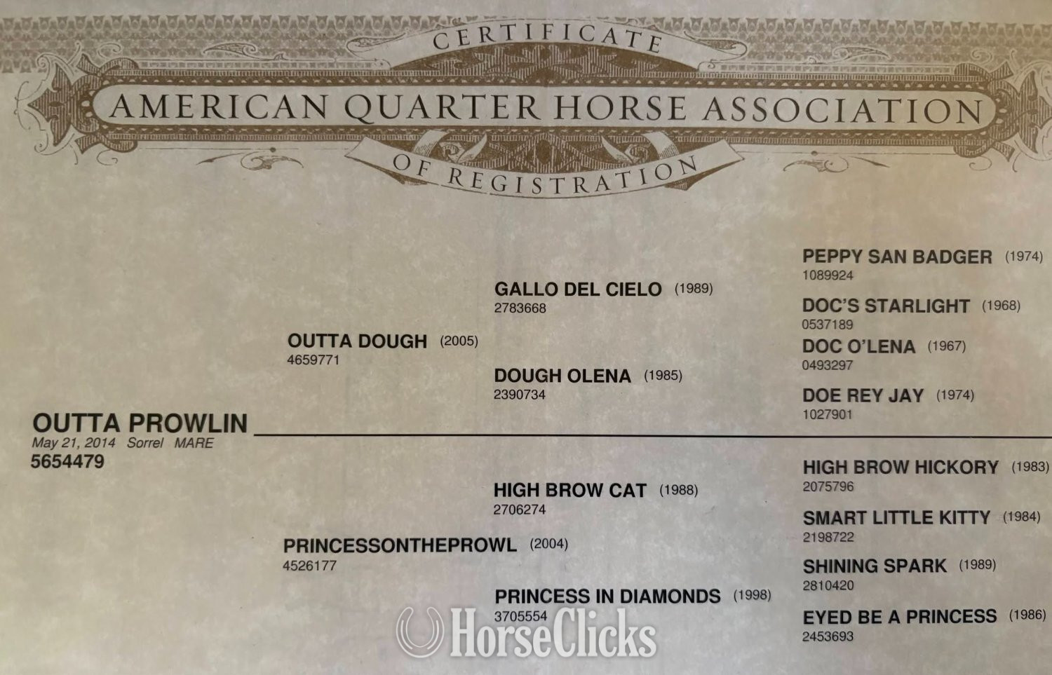 Colorado "Outta Prowlin" Sorrel Mare Quarter Horse