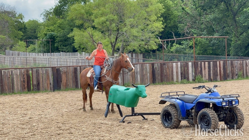 "Jitterbug" Sorrel Gelding Quarter Horse