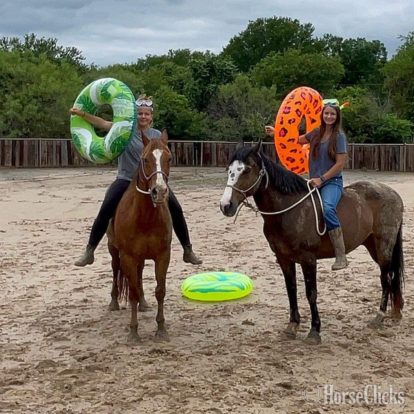 "Jitterbug" Sorrel Gelding Quarter Horse Texas