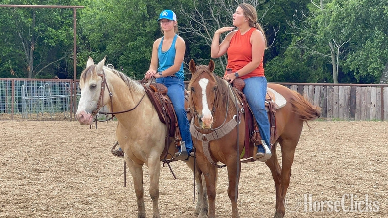 Quarter Horse - "Jitterbug" Sorrel Gelding Quarter Horse