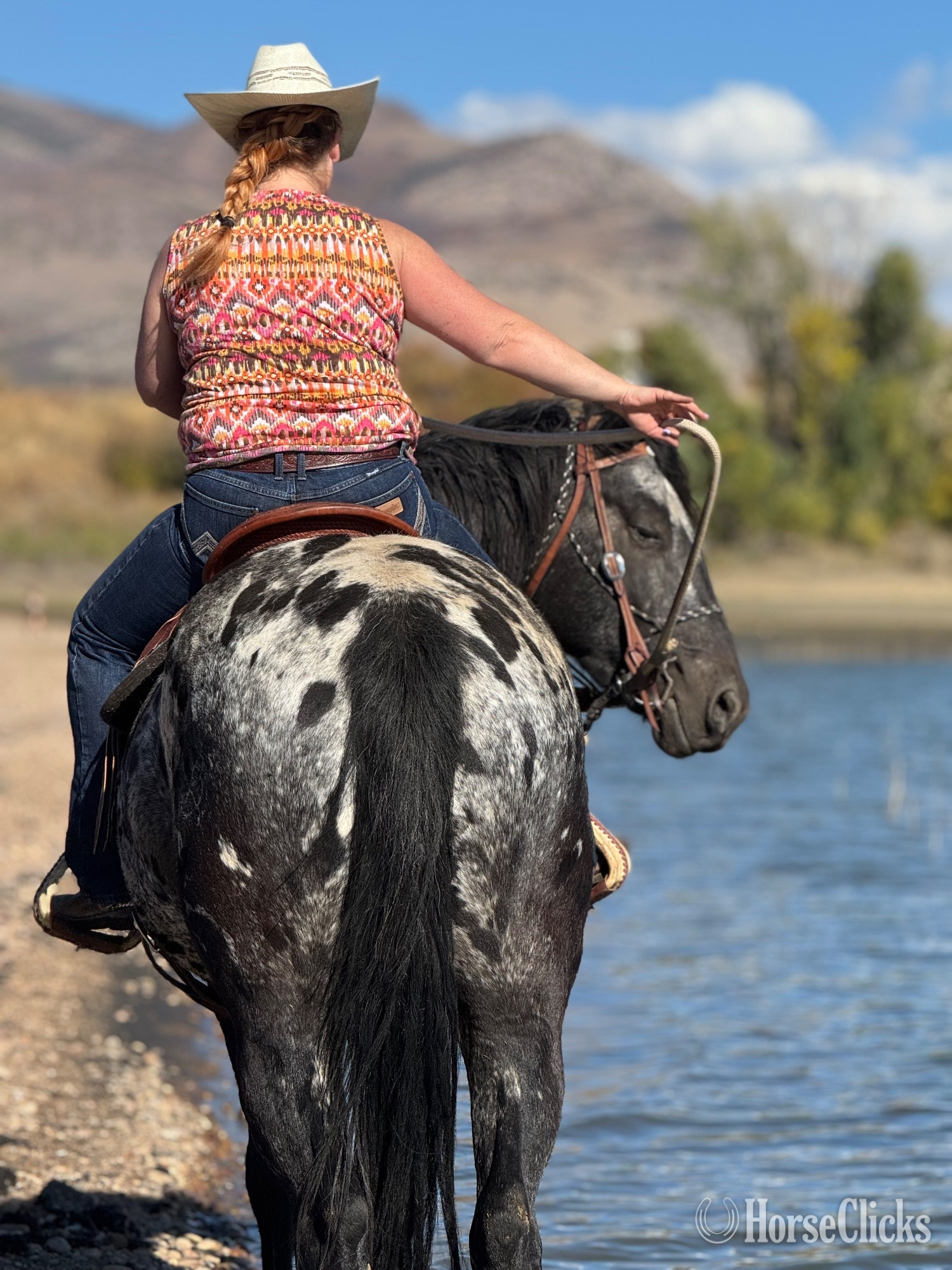 "Eagles Black Shadow" Black Mare Appaloosa Utah