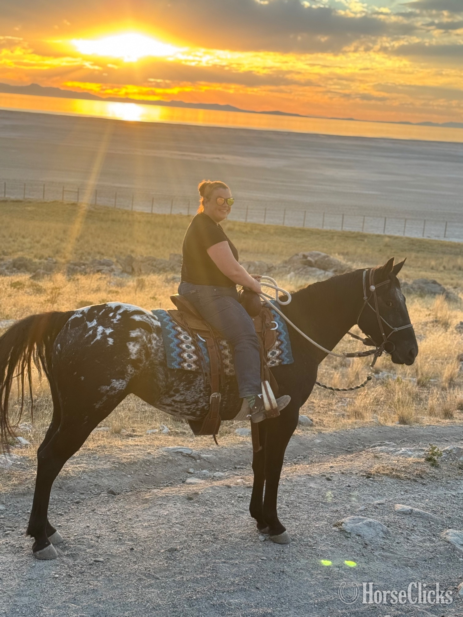 Appaloosa - "Eagles Black Shadow" Black Mare Appaloosa in Utah