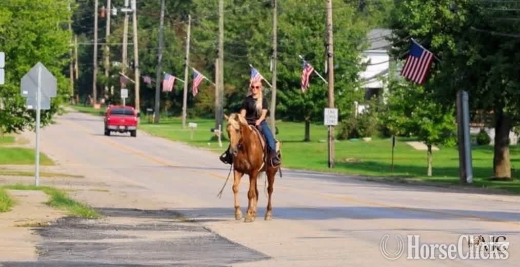 Tennessee Walker - "Pineapple" Palomino Gelding Tennessee Walker
