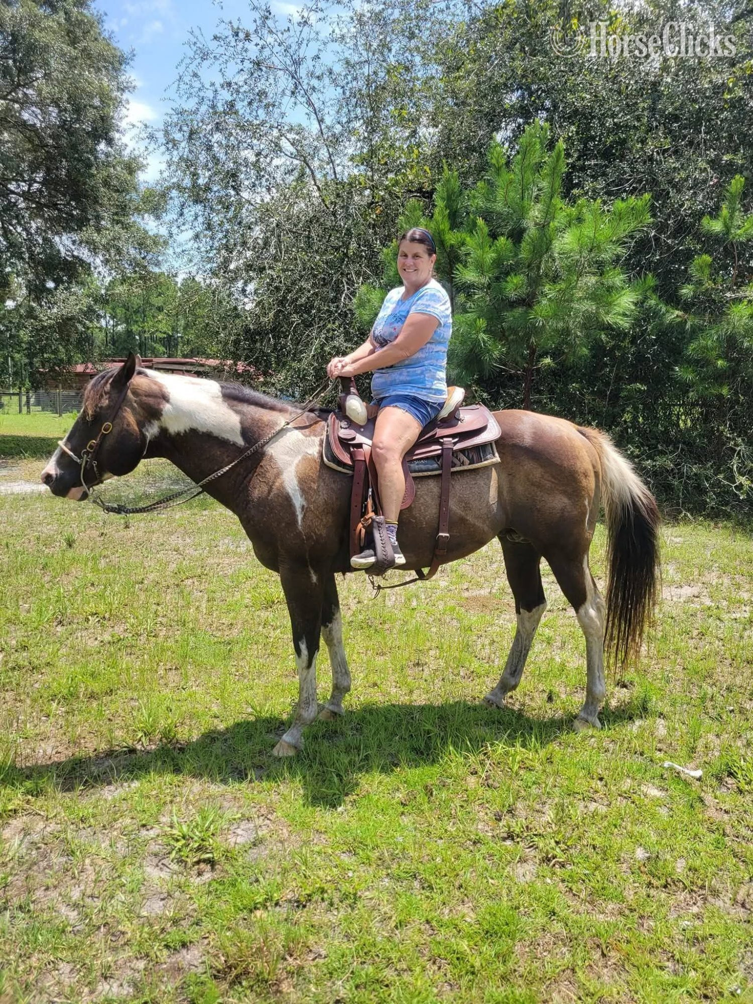 "SA Lock and Load" Black Stallion Paint - Paint in Florida