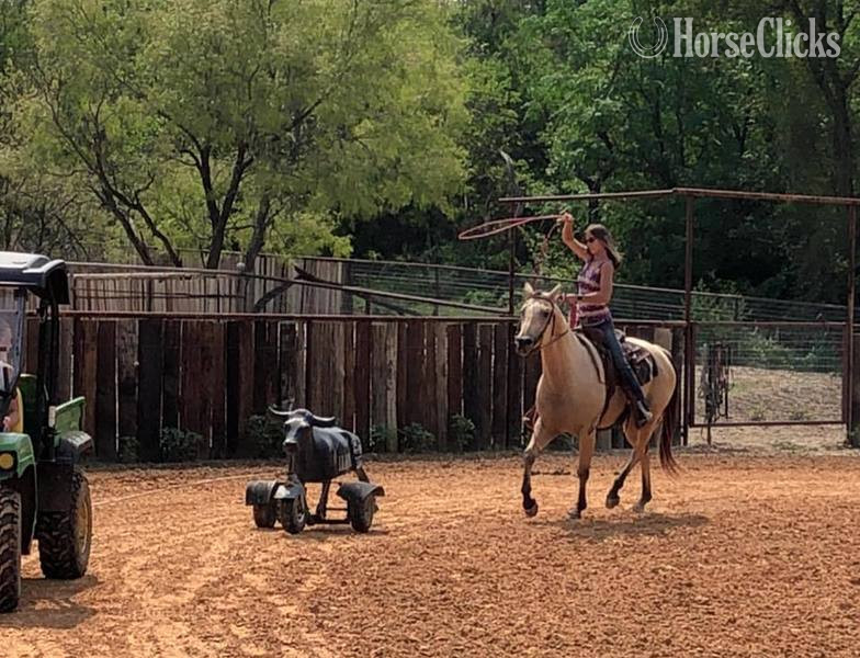 Texas "El Primero" Buckskin Gelding Quarter Horse