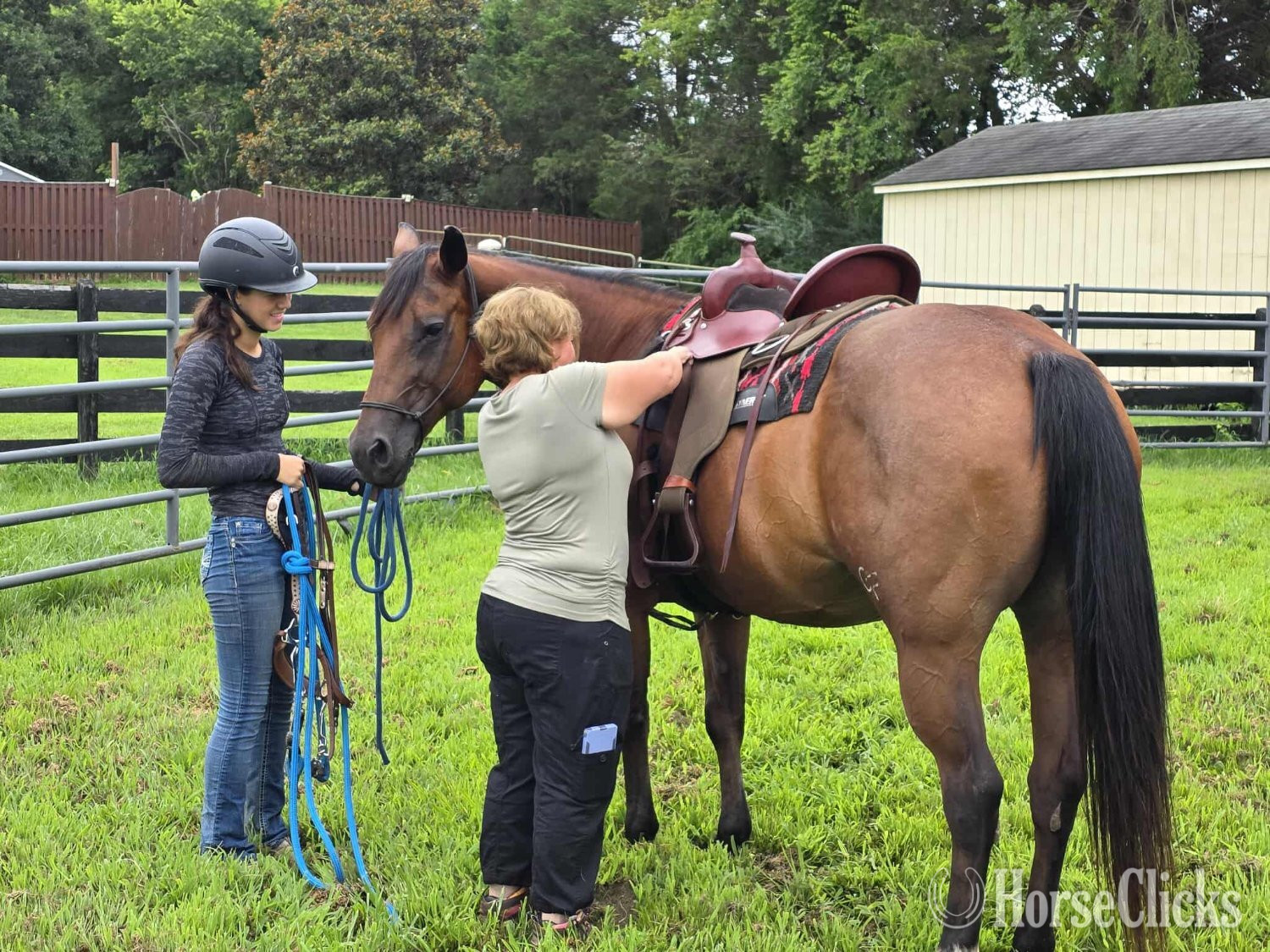 "Lyric" Bay Mare Quarter Horse - Quarter Horse