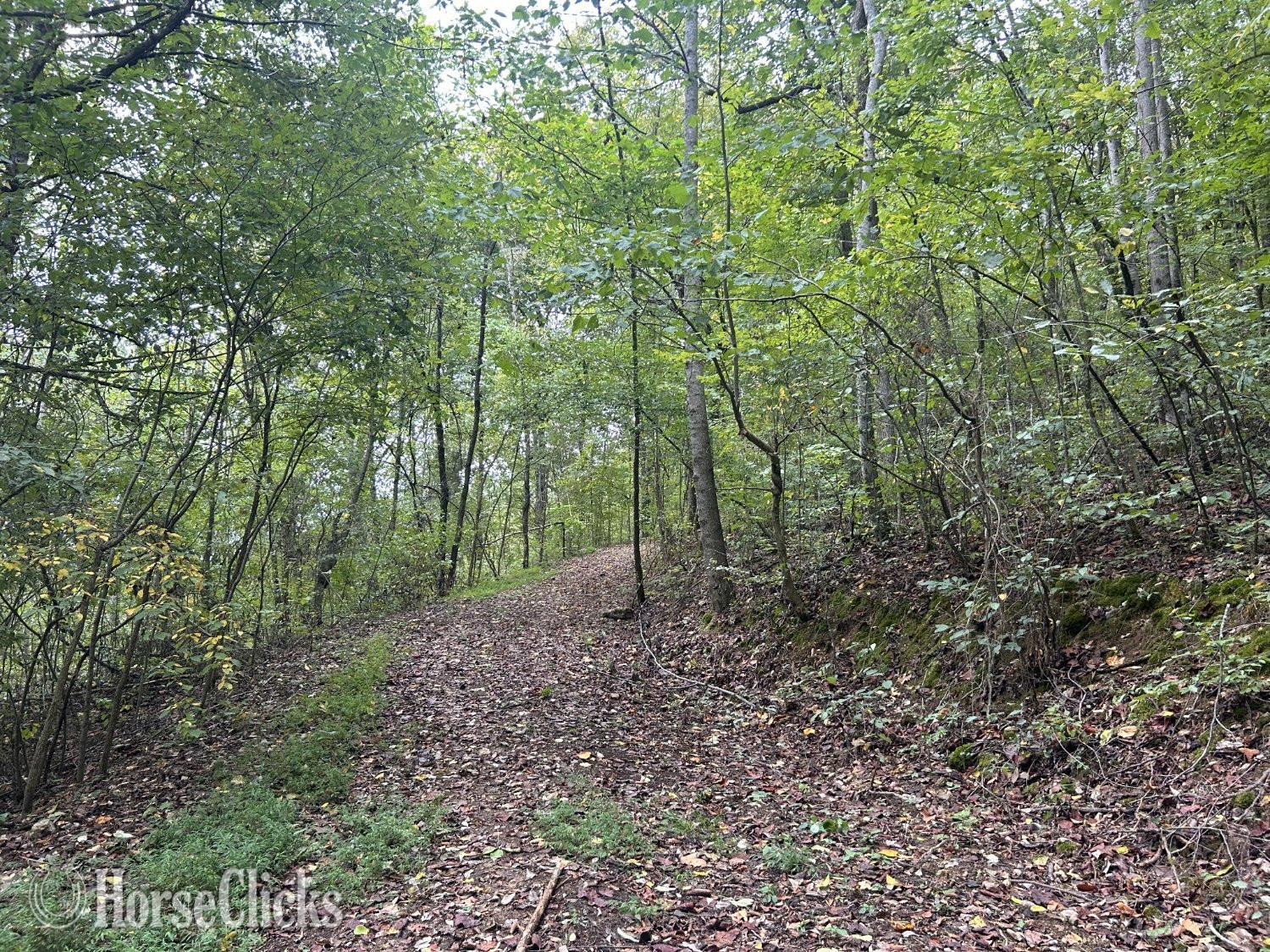 Tennessee Mini Farm 15.5 Acres, Great for Horses