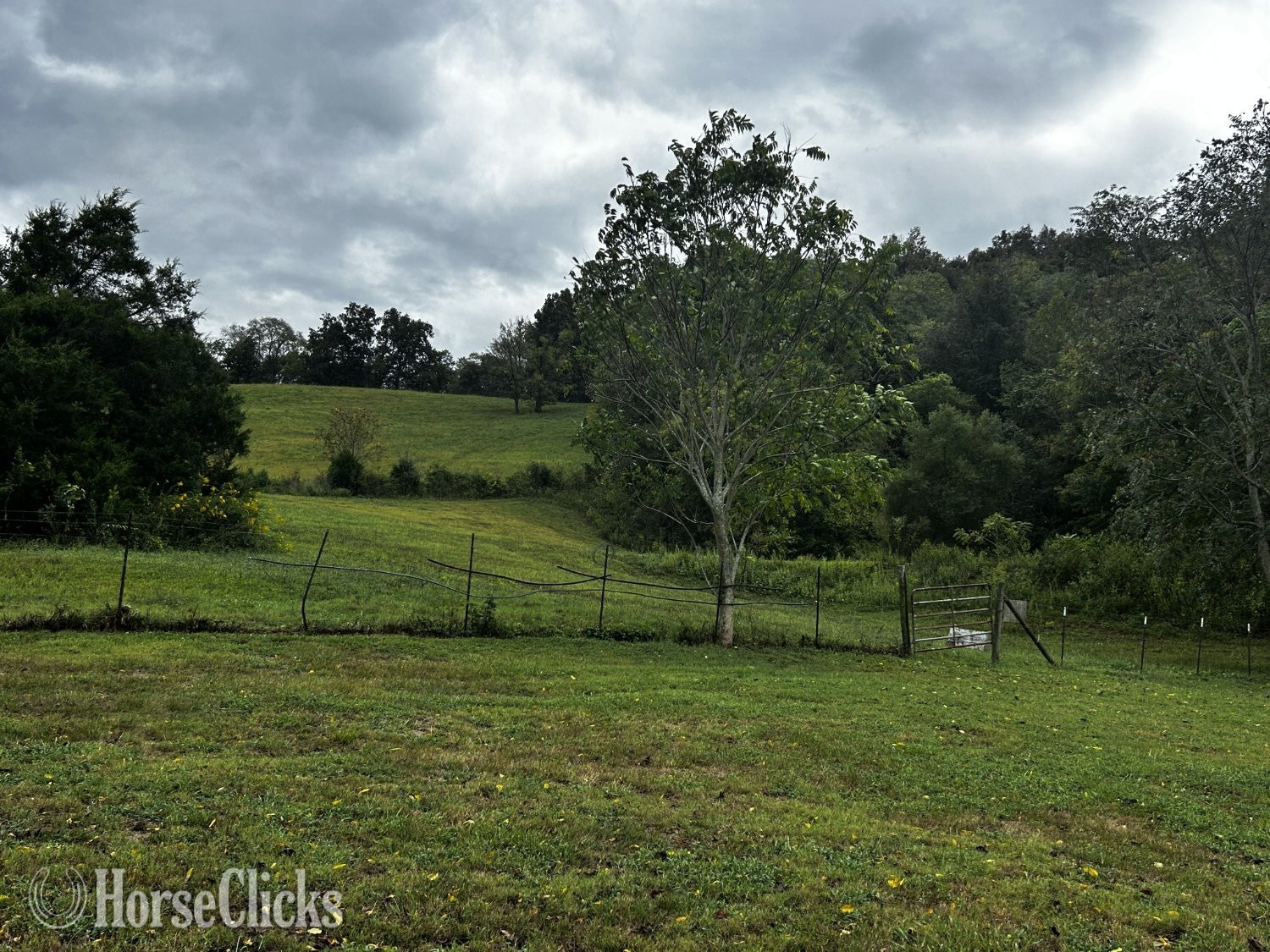 Mini Farm 15.5 Acres, Great for Horses - Farms