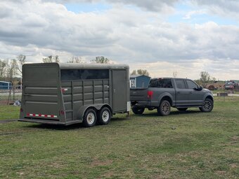 2005 Circle D  Bumper Pull Horse Trailer