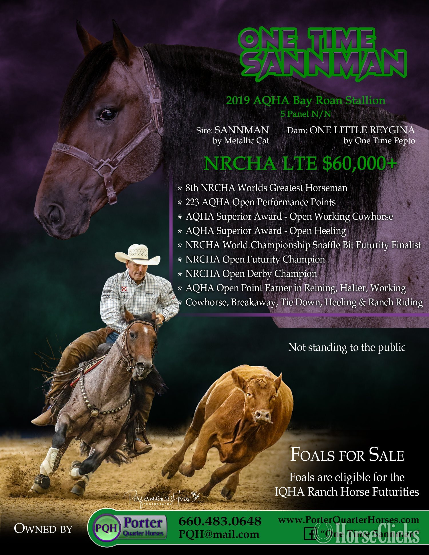 "Sann Dee - Pymts OK" Red Roan Filly Quarter Horse - Quarter Horse