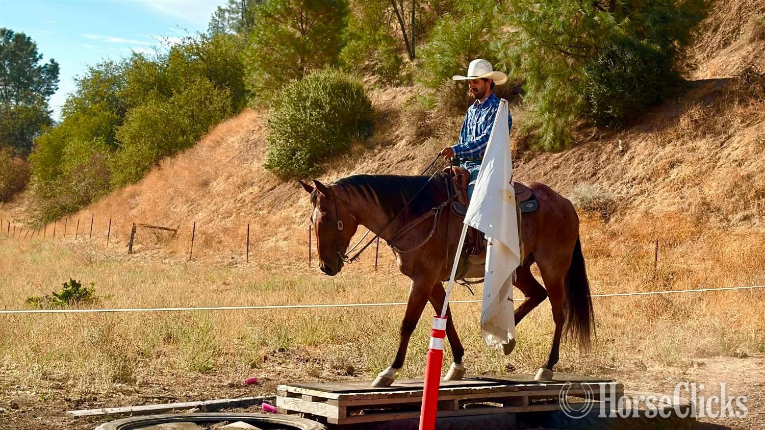 Quarter Horse - "FIRE BALL KING" Bay Roan Gelding Quarter Horse in California