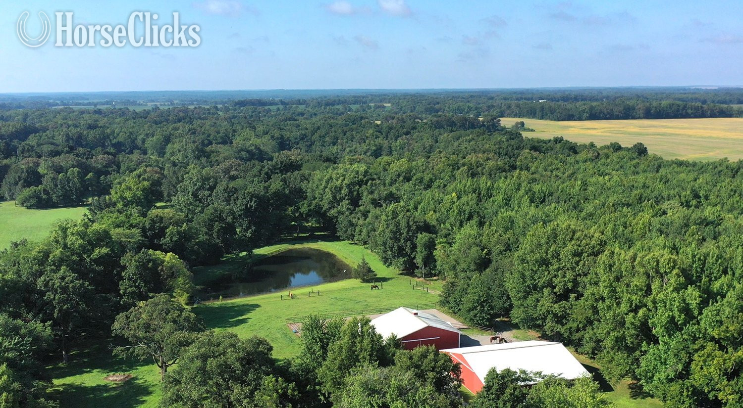 IMPRESSIVE TURN-KEY EQUINE FARM WITH HOME - Farms