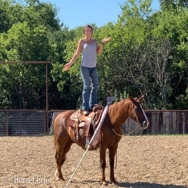 Texas "Ruckus" Chestnut Gelding Quarter Horse