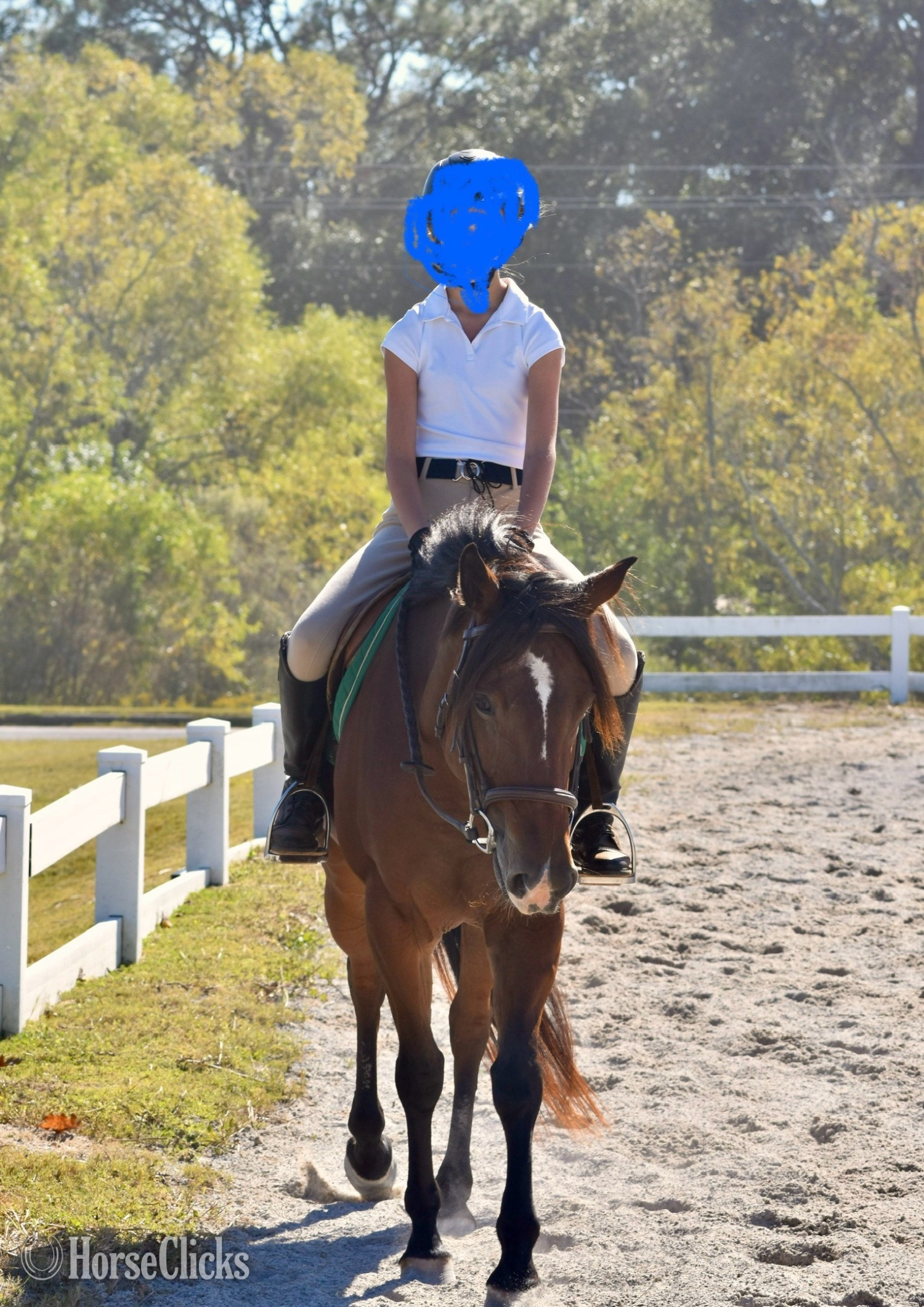 "Joile Fille (Jolene)" Bay Mare Quarter Pony