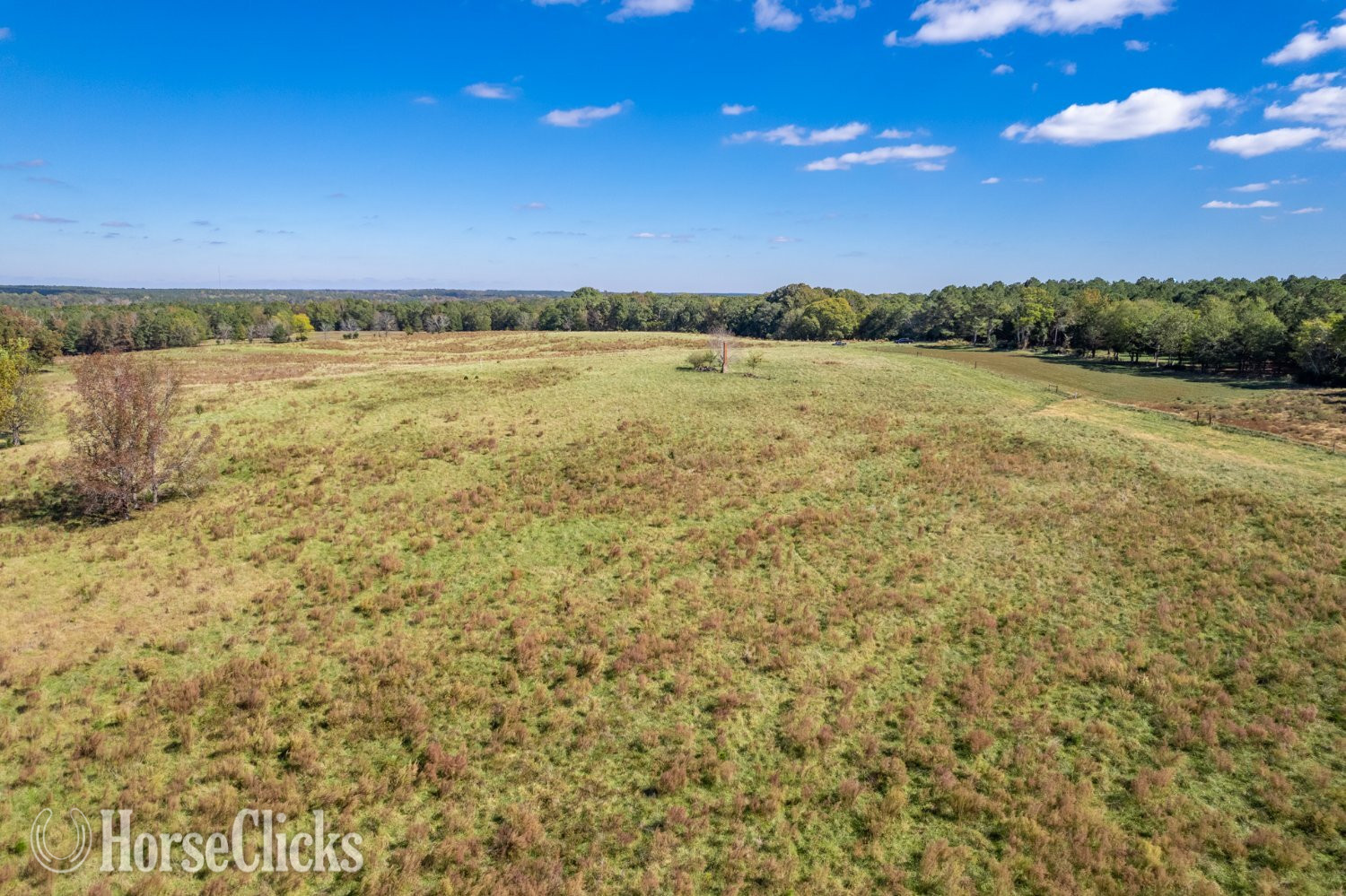 Lots on Wallace Rd - Land For Sale in Georgia