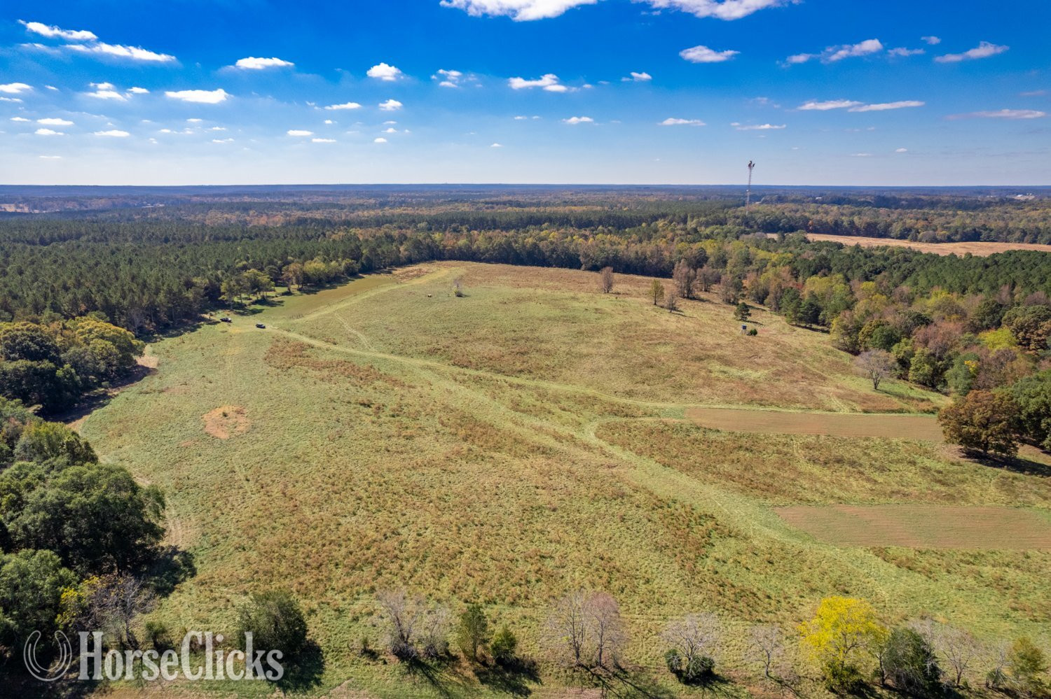Lots on Wallace Rd - Land For Sale