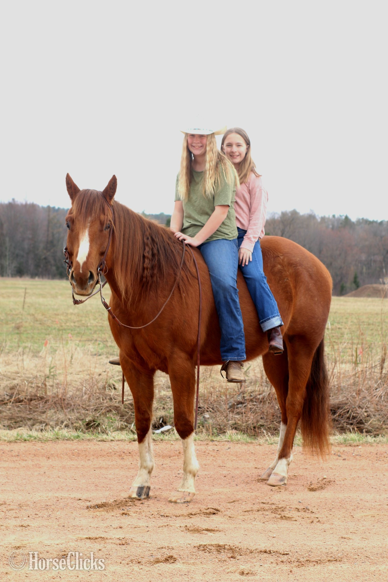 Quarter Horse - "Wolfs Dust Buster " Sorrel Gelding Quarter Horse