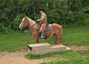 "MS WAFFLES" Sorrel Mare Draft