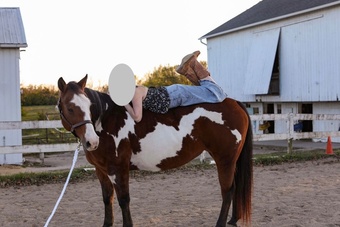 "Delilah" Overo Mare Paint