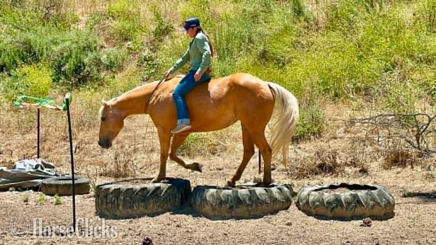 "CINDERELLA" Palomino Mare Quarter Horse California