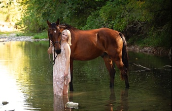 "Oliver" Bay Gelding Oldenburg