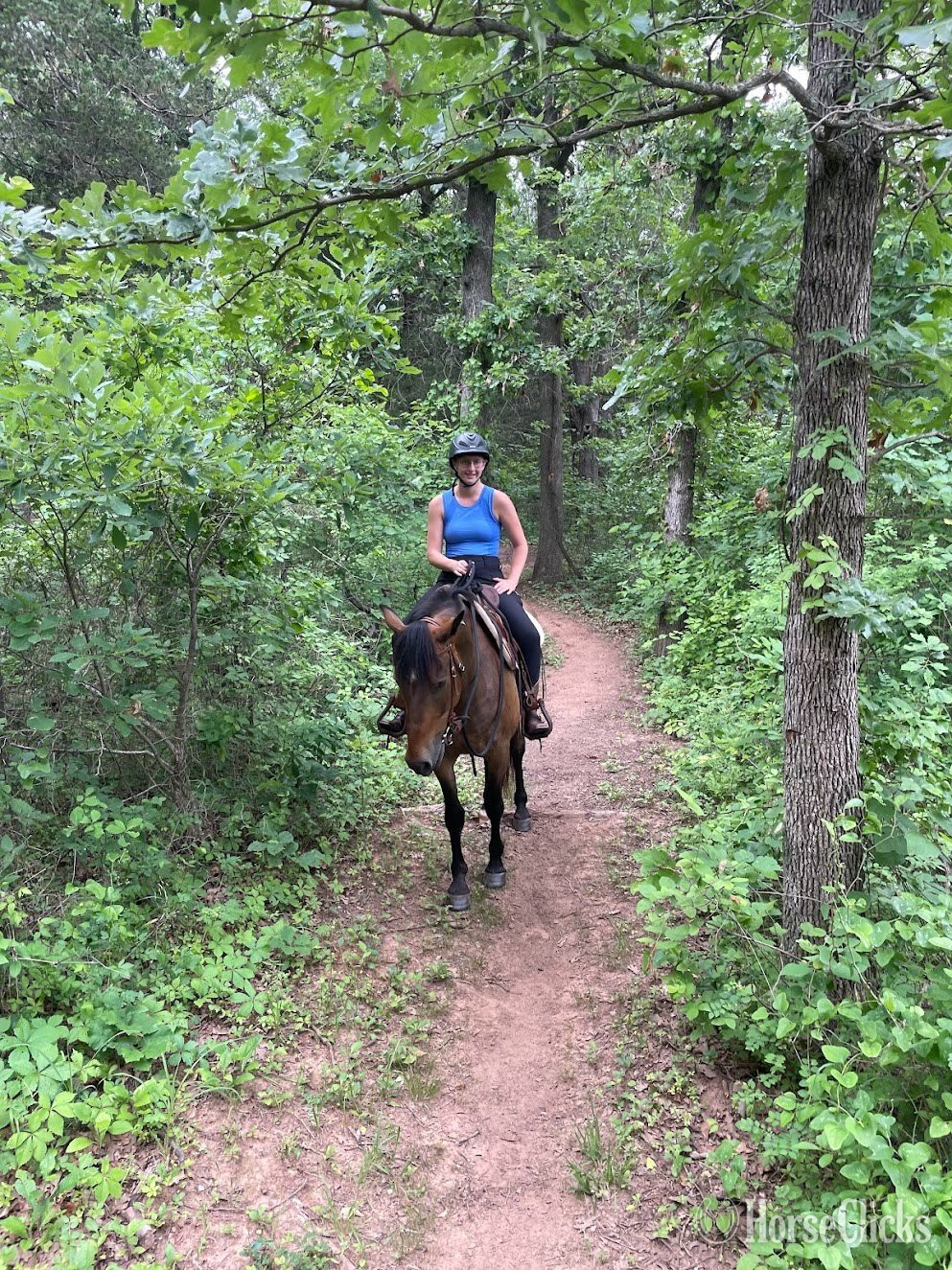 "Gunsmoke aka Smokey " Bay Gelding Mustang