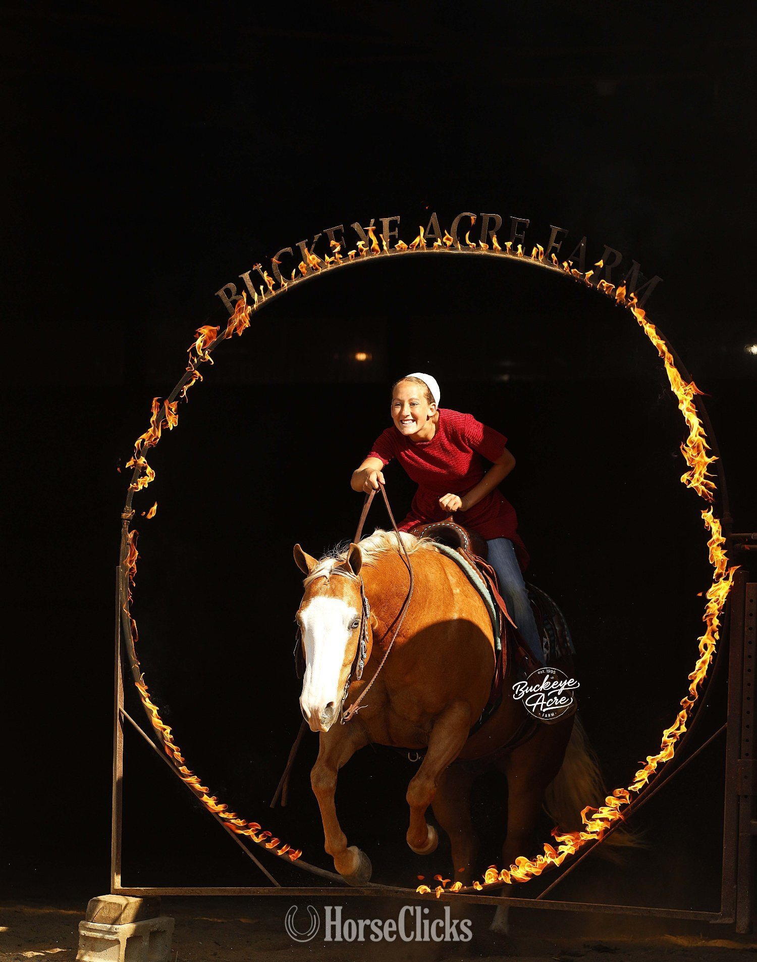 "Jackpot" Palomino Gelding Quarter Horse in Ohio
