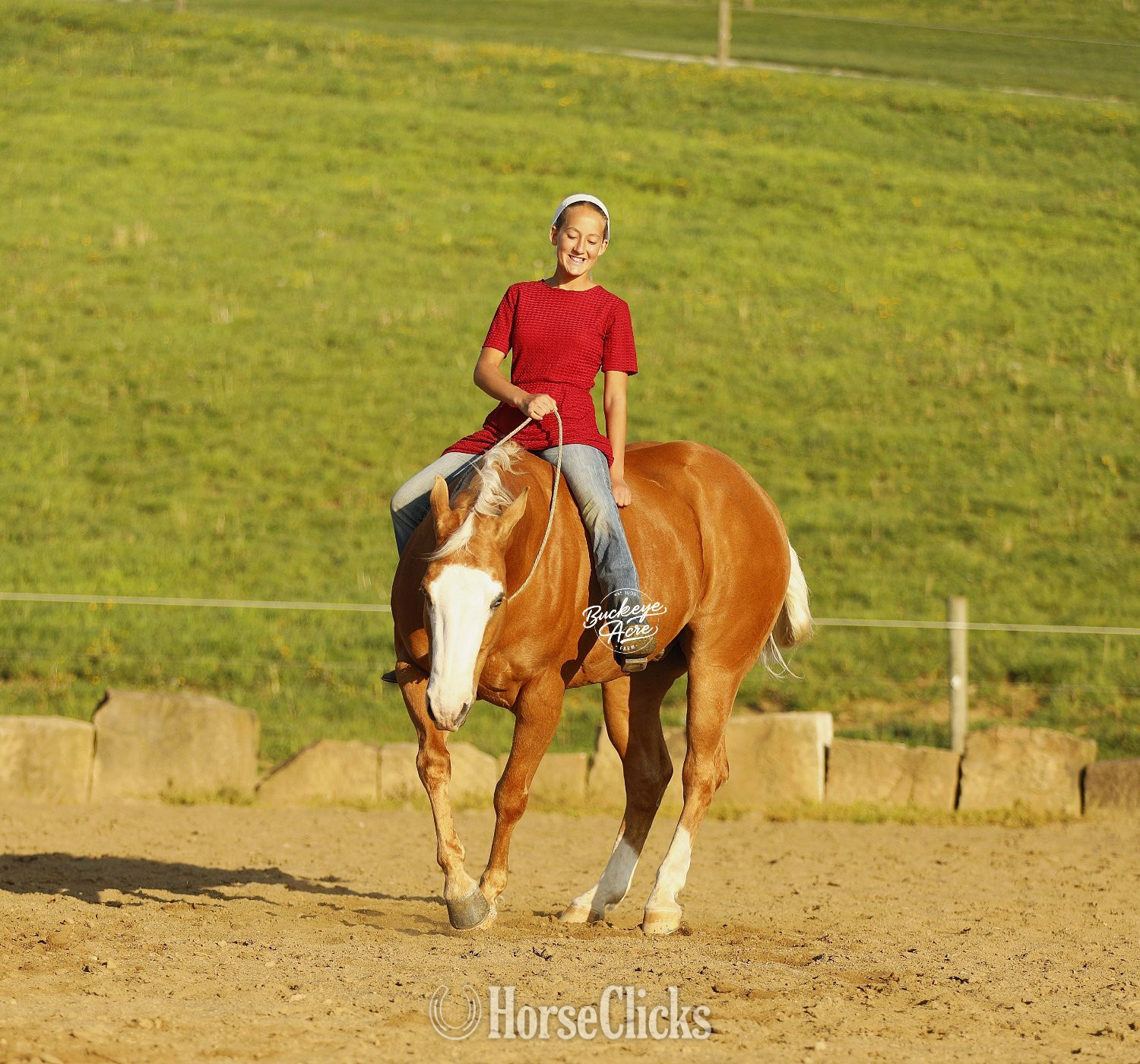 "Jackpot" Palomino Gelding Quarter Horse