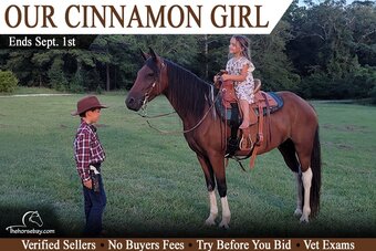 "Cinnamon" Tabiano Mare Missouri Fox Trotter