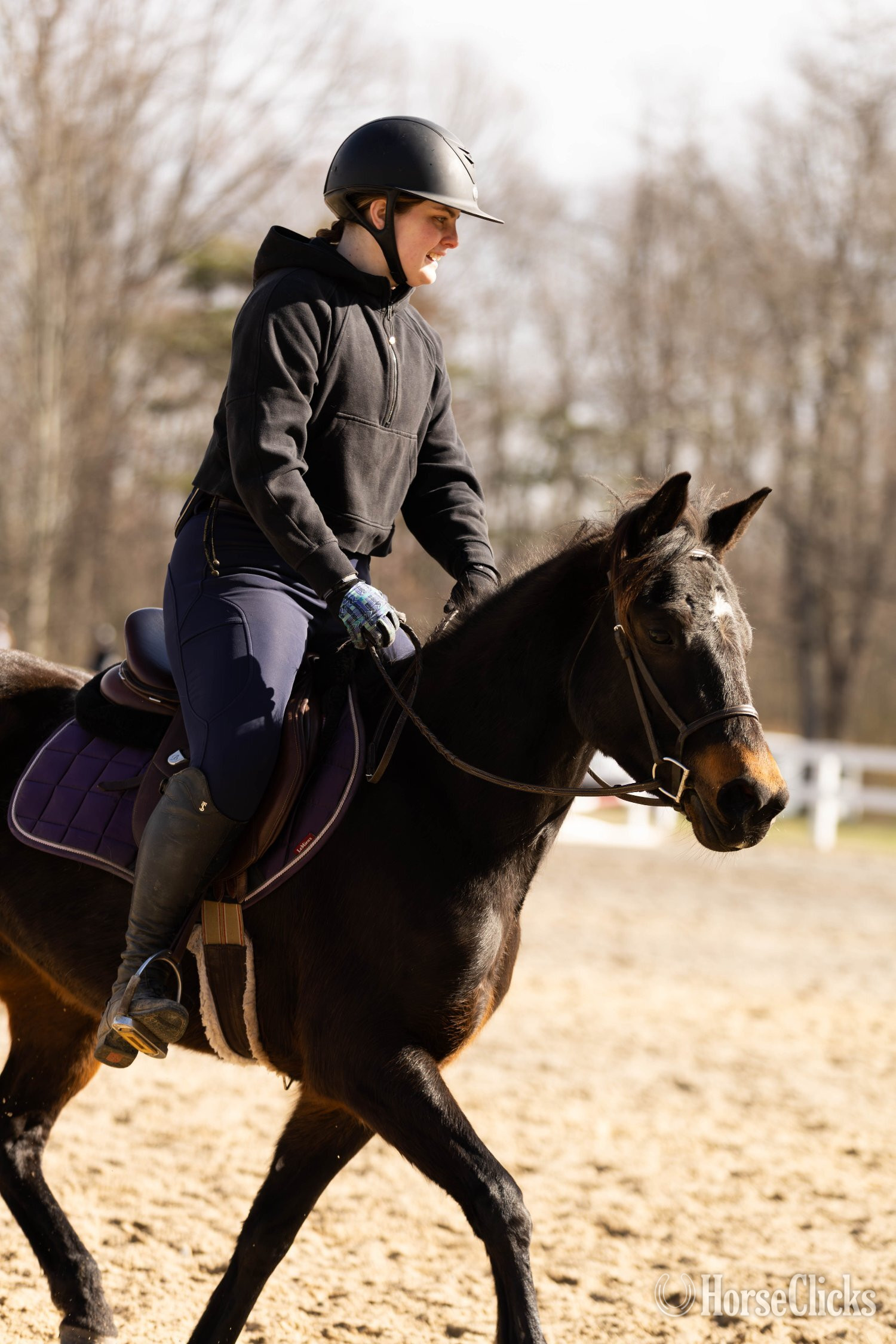 Pennsylvania "Rockette" Bay Mare Welsh Pony