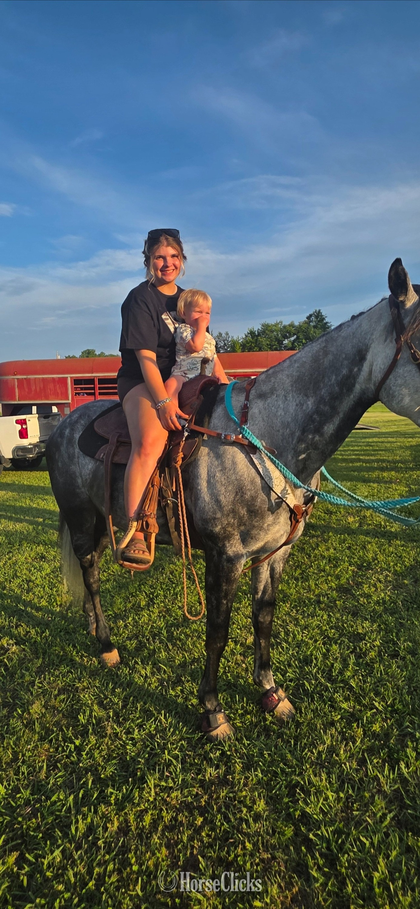 "Gucci" Grey Gelding Quarter Horse in Tennessee