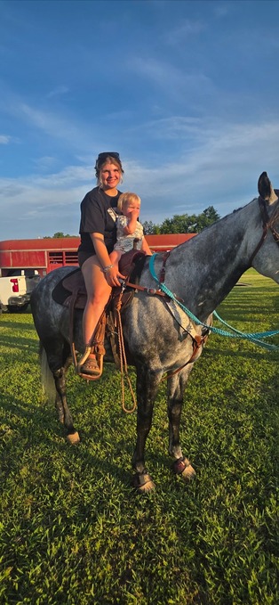 "Gucci" Grey Gelding Quarter Horse