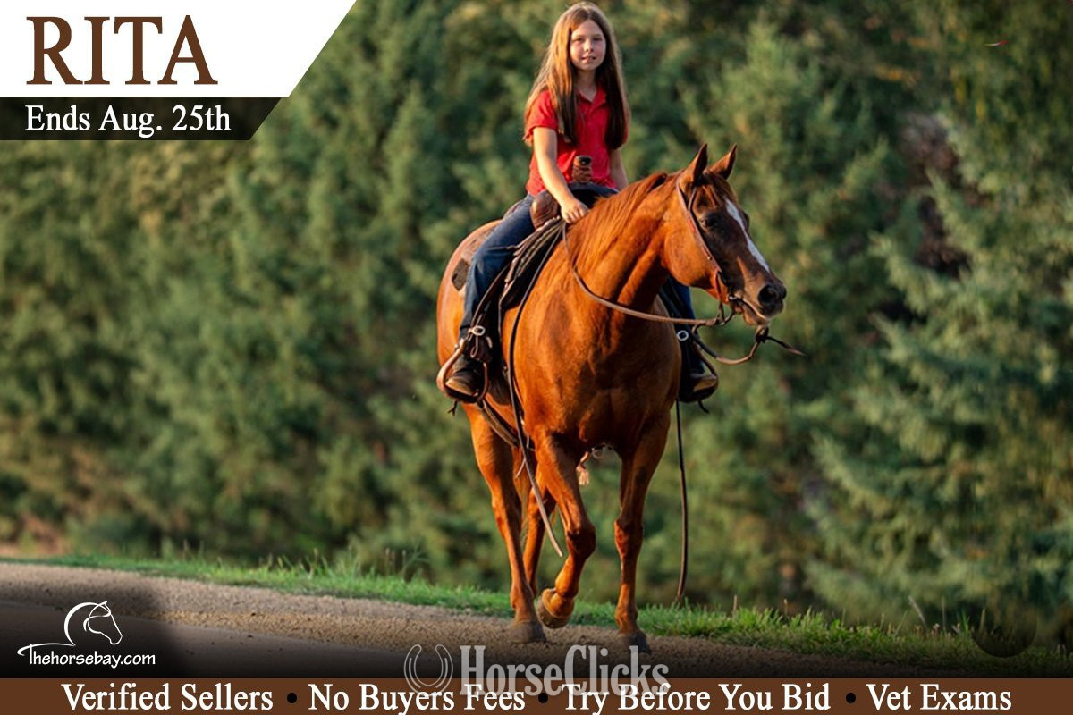 "Rita" Sorrel Mare Quarter Horse in Iowa