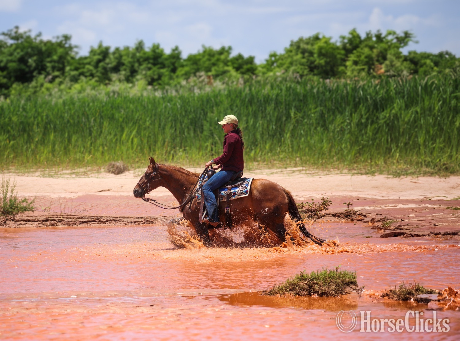 "Tug" Red Dun Gelding Quarter Horse