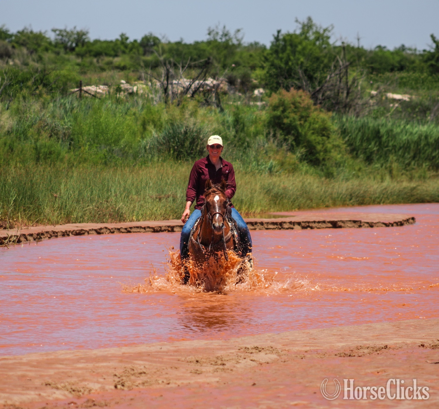 Texas "Tug" Red Dun Gelding Quarter Horse