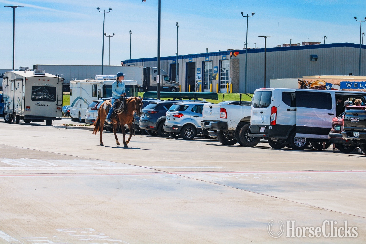 "Tug" Red Dun Gelding Quarter Horse - Quarter Horse in Texas