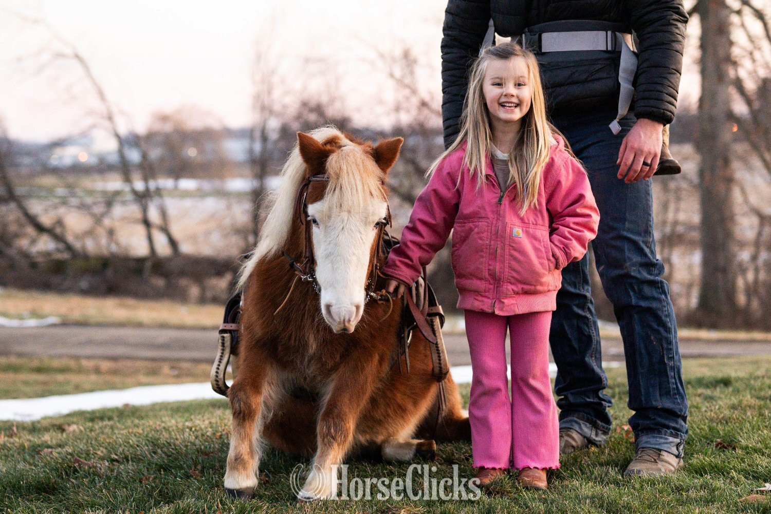 "Spanky" Sorrel Gelding Pony