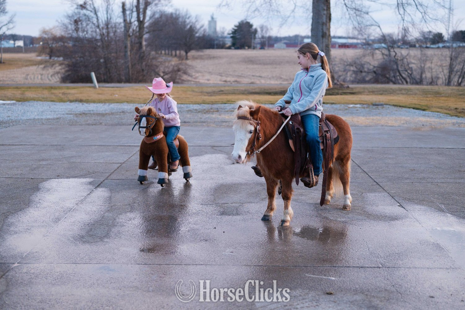 "Spanky" Sorrel Gelding Pony - Pony in Ohio