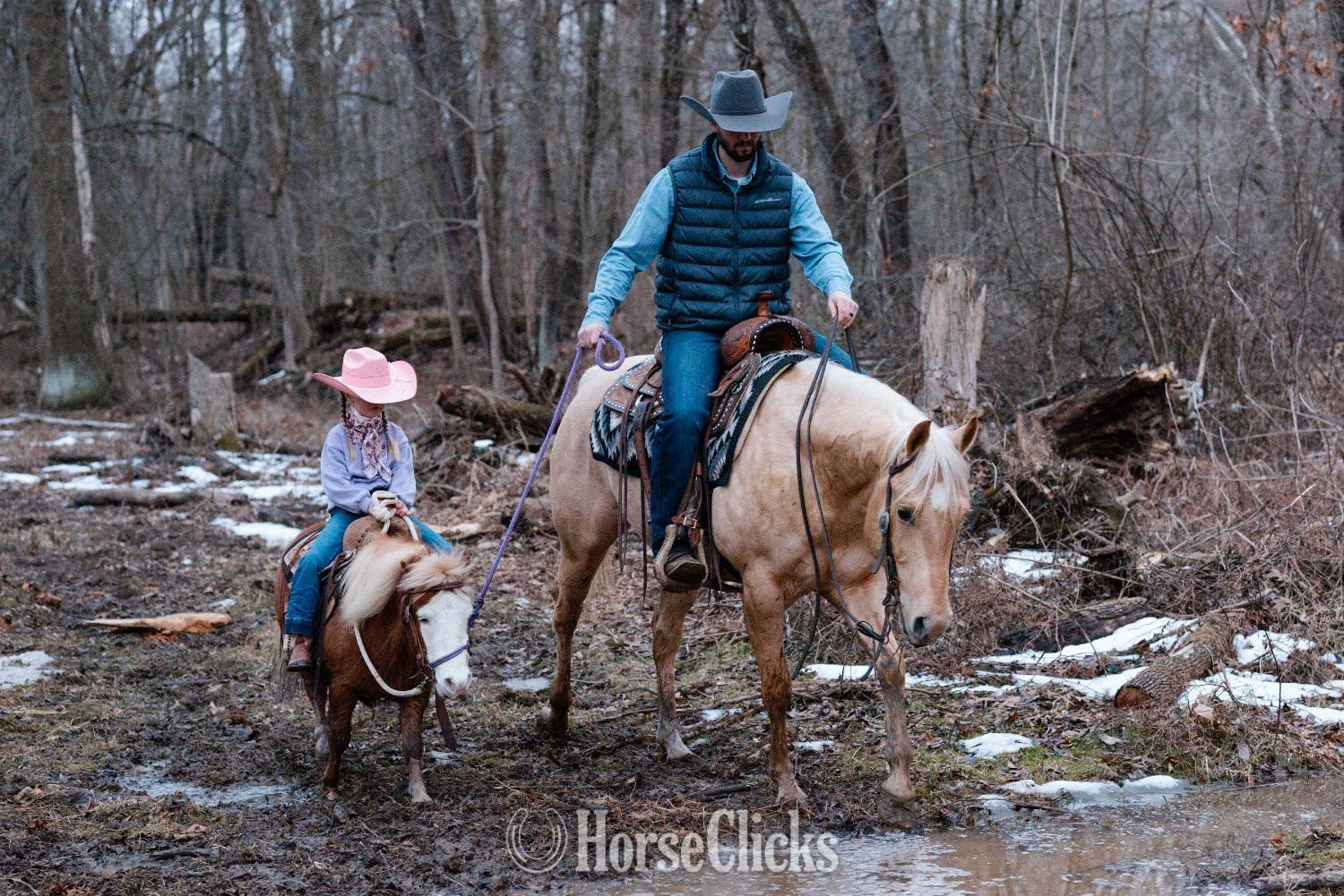 "Spanky" Sorrel Gelding Pony - Pony