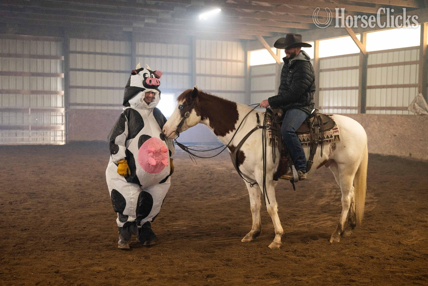 "Pinnochio" Pinto Gelding Paint