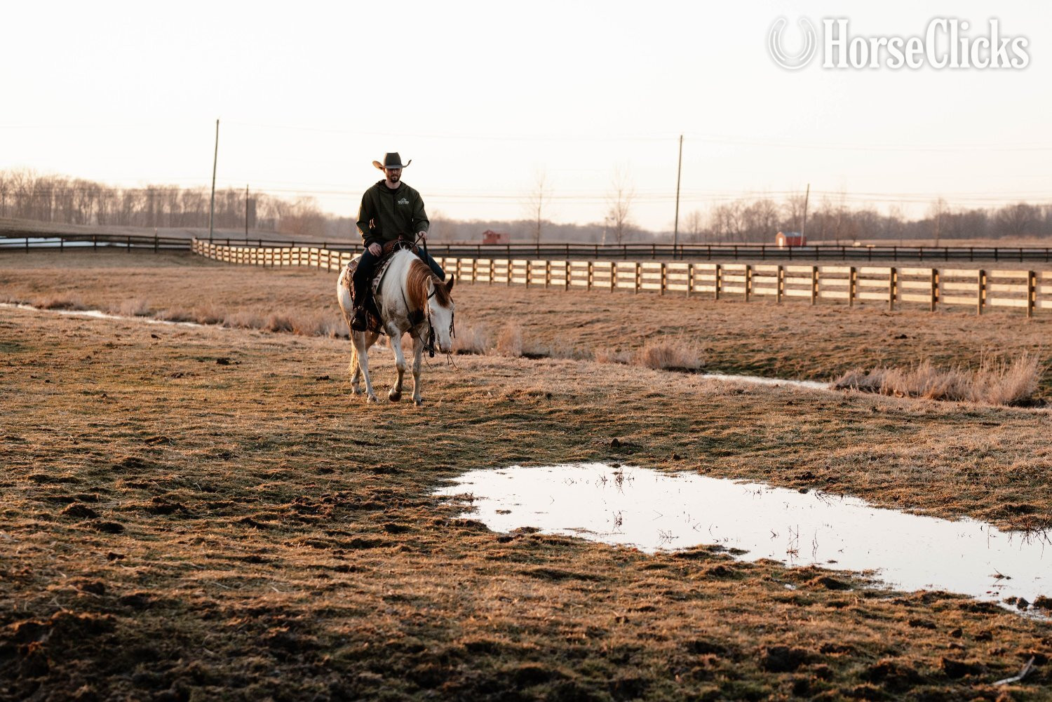 Paint - "Pinnochio" Pinto Gelding Paint in Ohio
