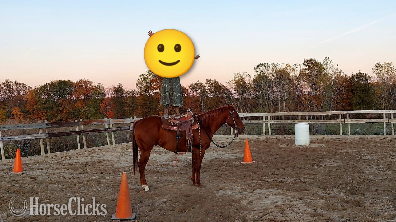 Indiana "Oscar " Sorrel Gelding Quarter Horse