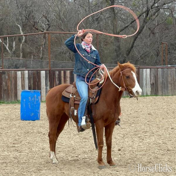 "Eyeore" Sorrel Gelding Quarter Pony - Quarter Pony in Texas