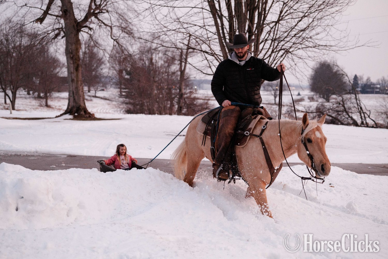 "First Chance Dreamer" Palomino Gelding Quarter Horse in Ohio