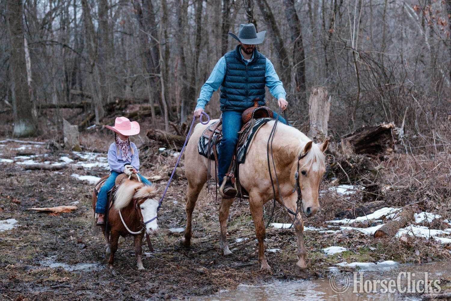 Quarter Horse - "First Chance Dreamer" Palomino Gelding Quarter Horse