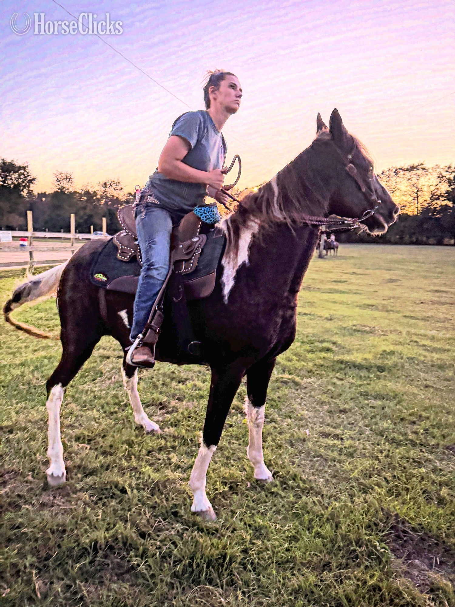 "Lucy" Spotted Mare Rocky Mountain